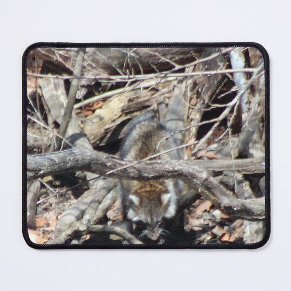 Item preview, BLIND RACCOON 3 designed and sold by BOLLA67.