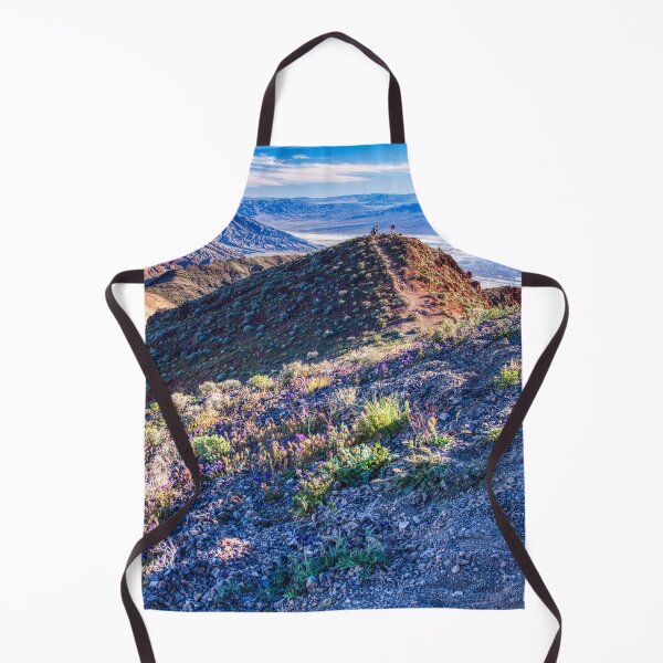 Item preview, Death Valley at springtime designed and sold by Travelways.