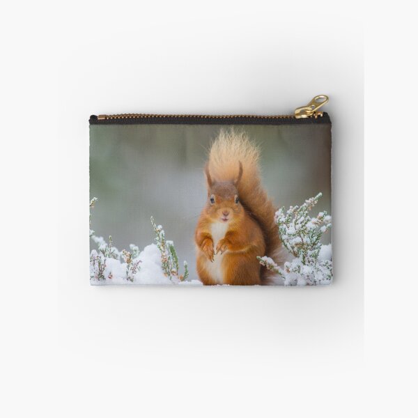 Item preview, Red squirrel in winter designed and sold by blackislehides.