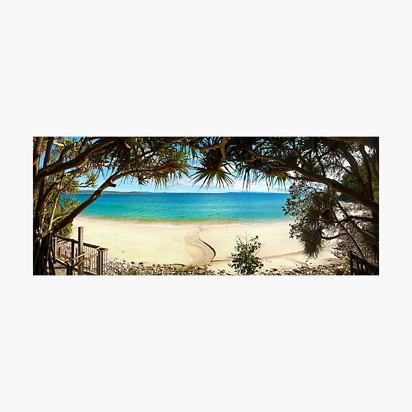 The Beauty of Little Cove Photographic Print