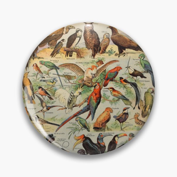 Item preview, Oiseaux Pour Tous A - Adolphe Millot designed and sold by starrylite.