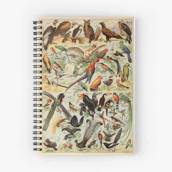 Item preview, Oiseaux Pour Tous A - Adolphe Millot designed and sold by starrylite.