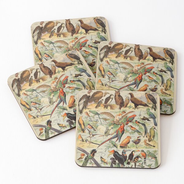 Item preview, Oiseaux Pour Tous A - Adolphe Millot designed and sold by starrylite.