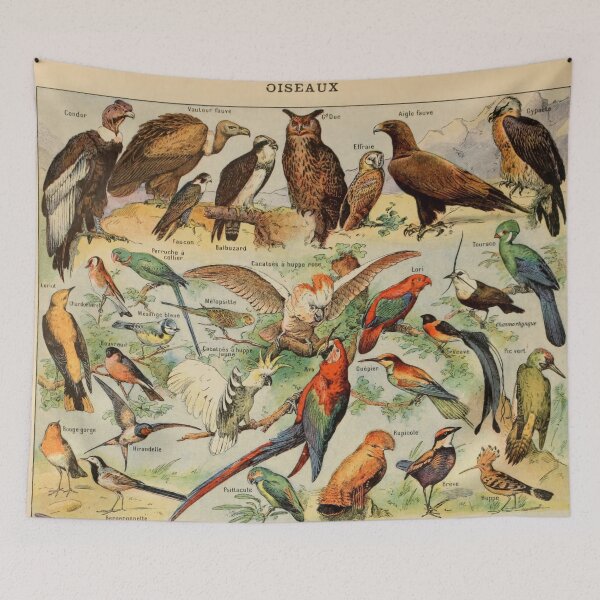 Item preview, Oiseaux Pour Tous A - Adolphe Millot designed and sold by starrylite.