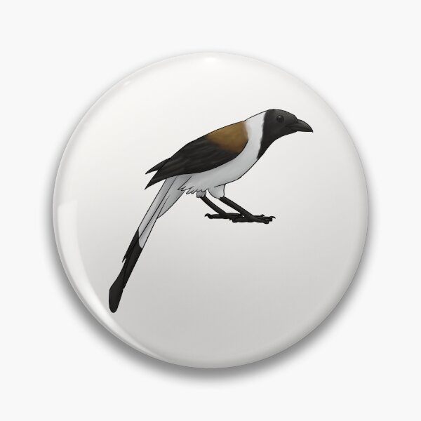 Item preview, White-Bellied Treepie designed and sold by Miss-Silver.