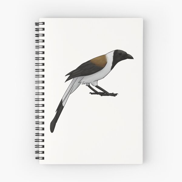Item preview, White-Bellied Treepie designed and sold by Miss-Silver.