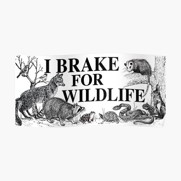 I BRAKE FOR WILDLIFE sticker Poster