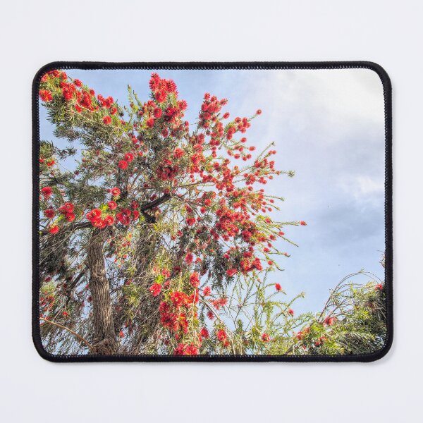 Item preview, Under the Bottlebrush Tree One designed and sold by Elisabeth Lucas.