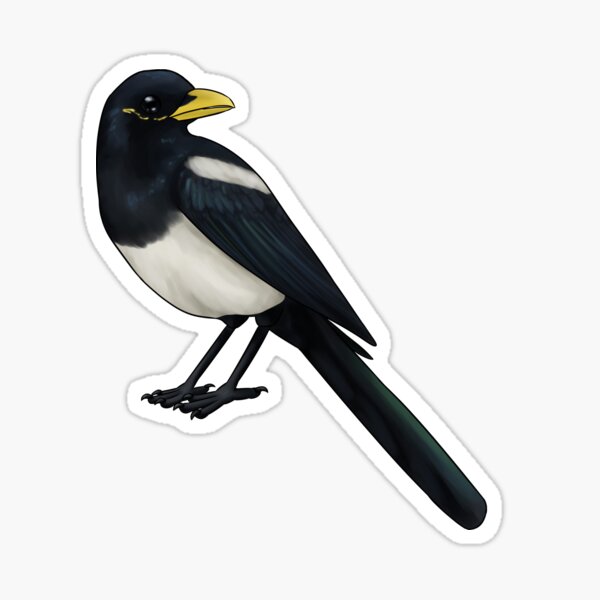 Item preview, Yellow-Billed Magpie designed and sold by Miss-Silver.