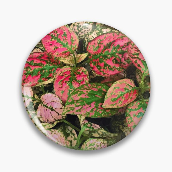Item preview, Pink, Red And Green Ornate Leaves Art Photo designed and sold by DEC02.