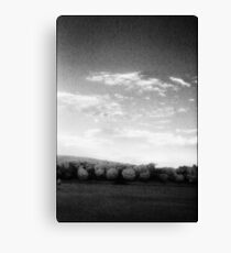 Songlines Sydney Park Canvas Print