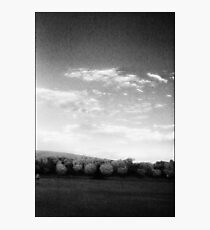 Songlines Sydney Park Photographic Print