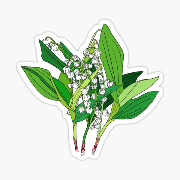 Lilly of the Valley Sticker