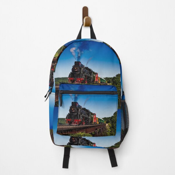 skybolsas backpacks with rain cover