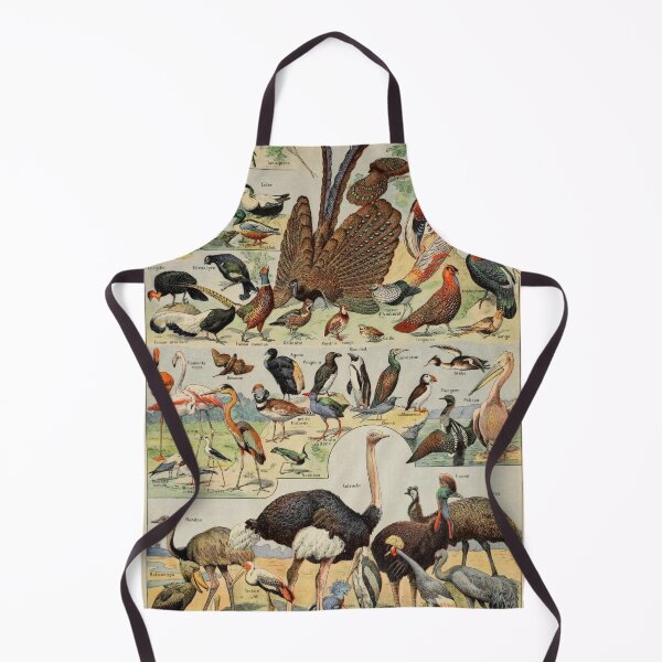 Item preview, Oiseaux Pour Tous B - Adolphe Millot designed and sold by starrylite.