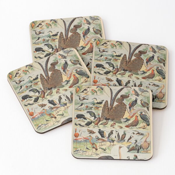 Item preview, Oiseaux Pour Tous B - Adolphe Millot designed and sold by starrylite.