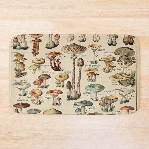 Item preview, Champignons Pour Tous - Adolphe Millot designed and sold by starrylite.