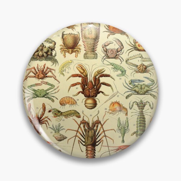 Item preview, Crustáceos - Adolphe Millot designed and sold by starrylite.