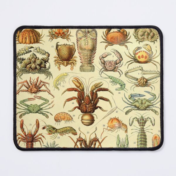 Item preview, Crustáceos - Adolphe Millot designed and sold by starrylite.