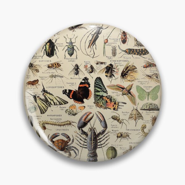 Item preview, Arthropodes Pour Tous - Adolphe Millot designed and sold by starrylite.