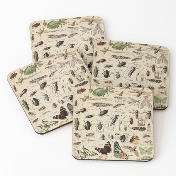 Item preview, Arthropodes Pour Tous - Adolphe Millot designed and sold by starrylite.