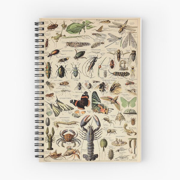 Item preview, Arthropodes Pour Tous - Adolphe Millot designed and sold by starrylite.