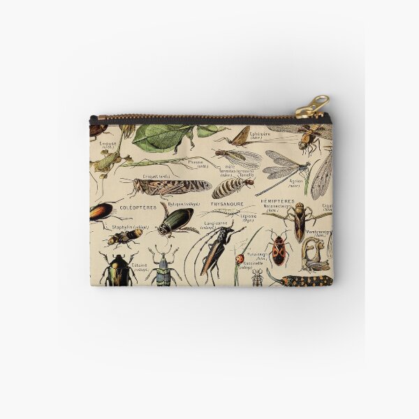 Item preview, Arthropodes Pour Tous - Adolphe Millot designed and sold by starrylite.