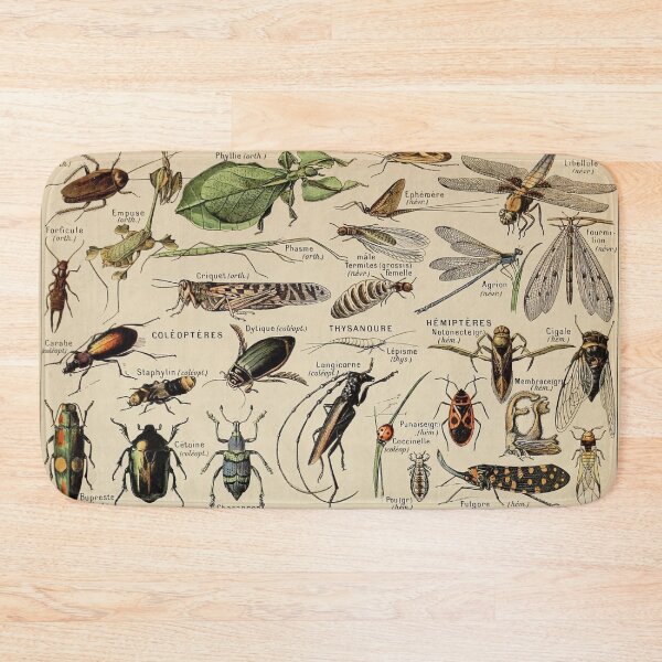 Item preview, Arthropodes Pour Tous - Adolphe Millot designed and sold by starrylite.
