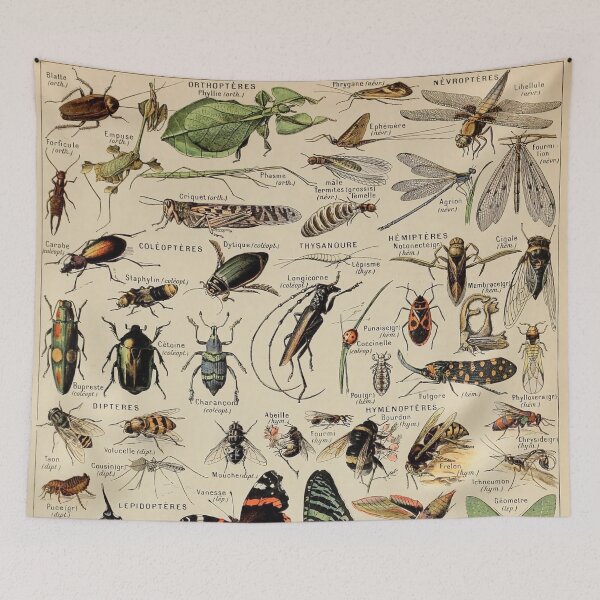 Item preview, Arthropodes Pour Tous - Adolphe Millot designed and sold by starrylite.