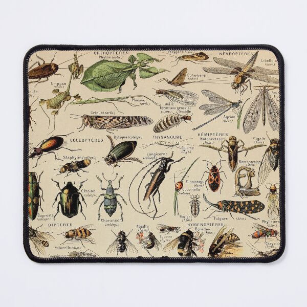 Item preview, Arthropodes Pour Tous - Adolphe Millot designed and sold by starrylite.