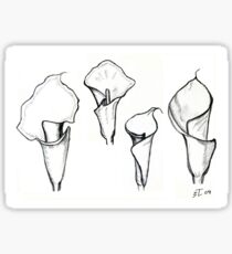 Study to lilies calla II Sticker