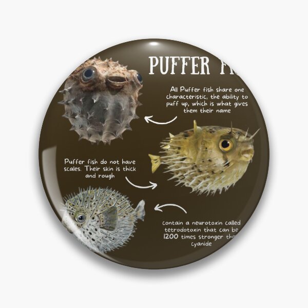 Artikelvorschau, Kugelfisch Fun Facts entworfen und verkauft von KyleNesas.