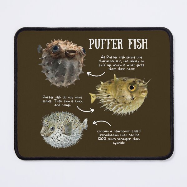 Item preview, Puffer Fish Fun Facts designed and sold by KyleNesas.