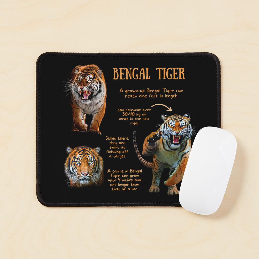 Bengal Tiger Fun Facts Art Board Print for Sale by KyleNesas