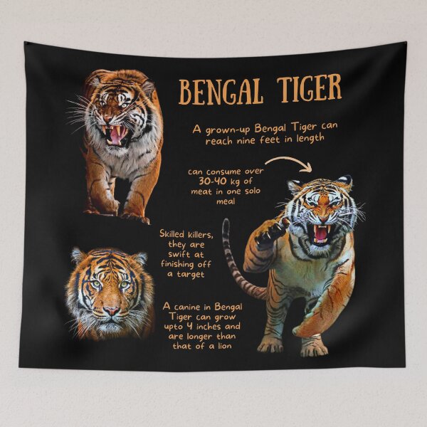 Artikelvorschau, Bengal Tiger Fun Facts entworfen und verkauft von KyleNesas.