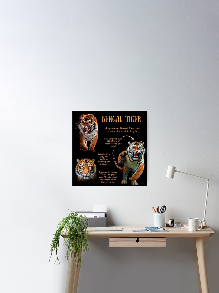 Bengal Tiger Fun Facts Art Board Print for Sale by KyleNesas