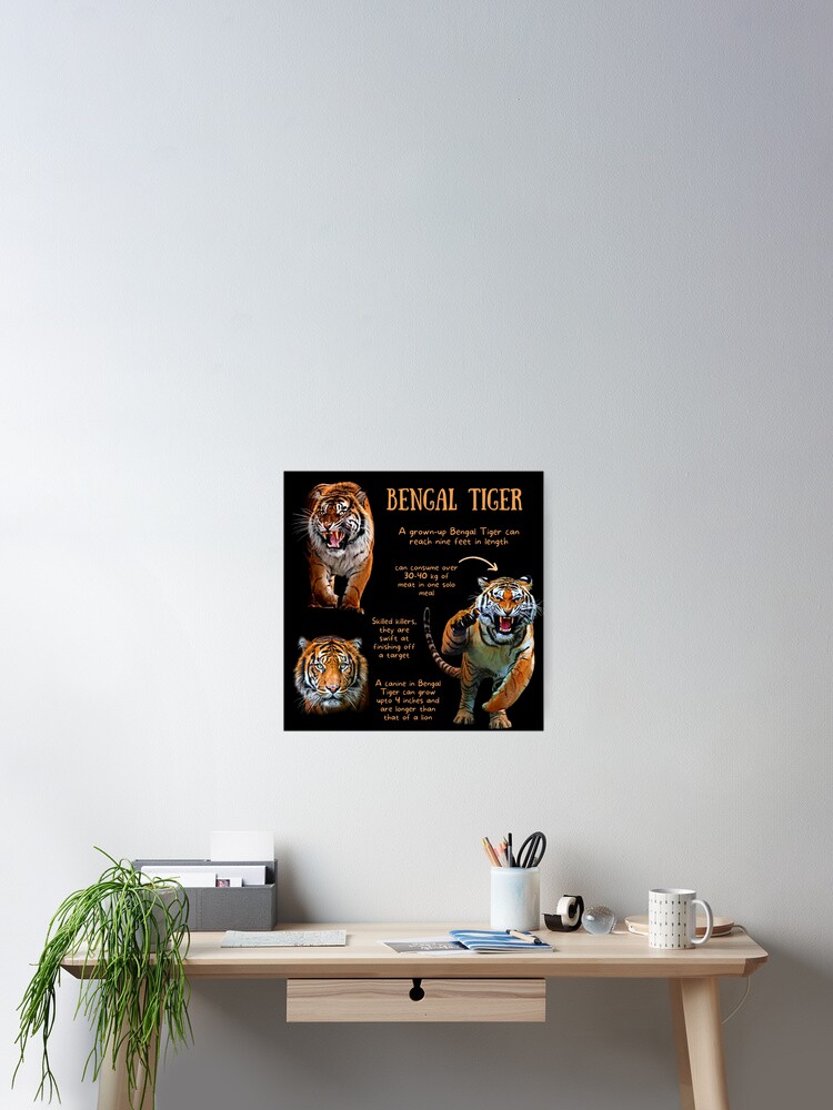 Bengal Tiger Fun Facts | Poster