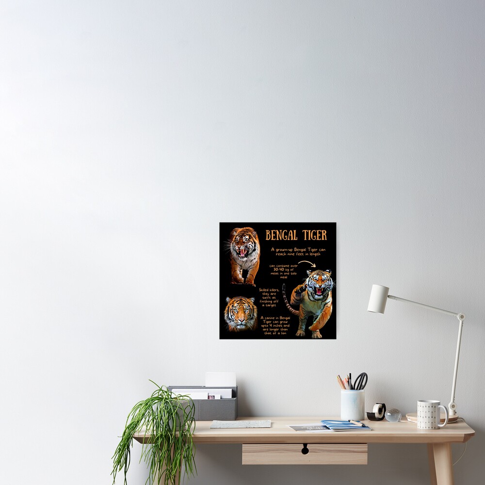 Bengal Tiger Fun Facts Art Board Print for Sale by KyleNesas