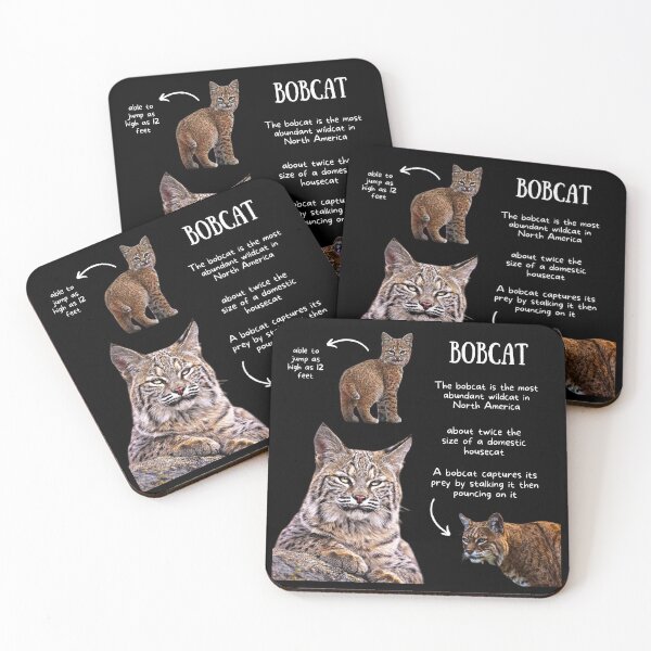 Artikelvorschau, Bobcat Fun Facts entworfen und verkauft von KyleNesas.
