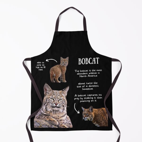 Artikelvorschau, Bobcat Fun Facts entworfen und verkauft von KyleNesas.