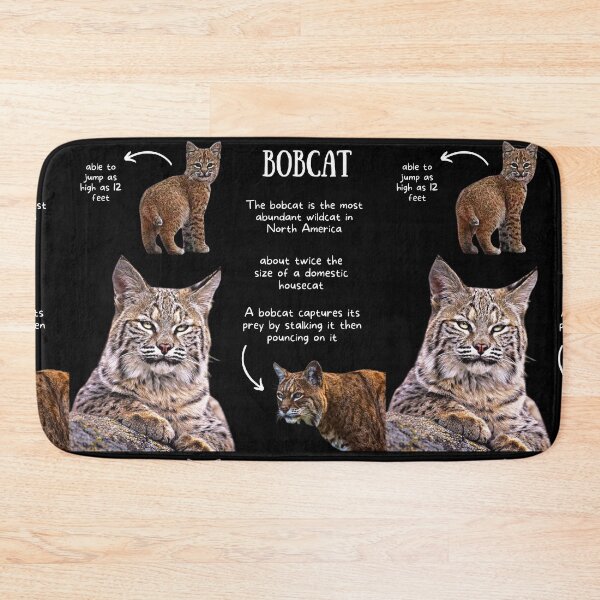 Artikelvorschau, Bobcat Fun Facts entworfen und verkauft von KyleNesas.