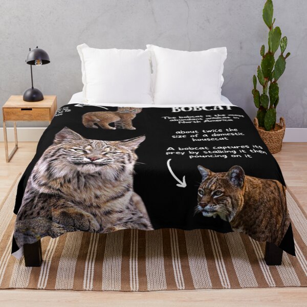 Artikelvorschau, Bobcat Fun Facts entworfen und verkauft von KyleNesas.