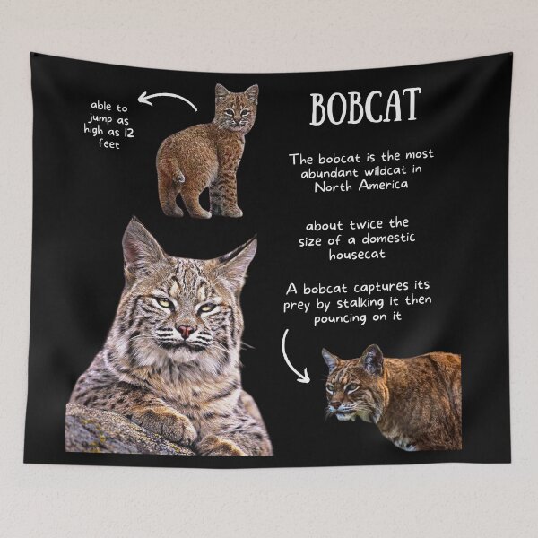 Item preview, Bobcat Fun Facts designed and sold by KyleNesas.