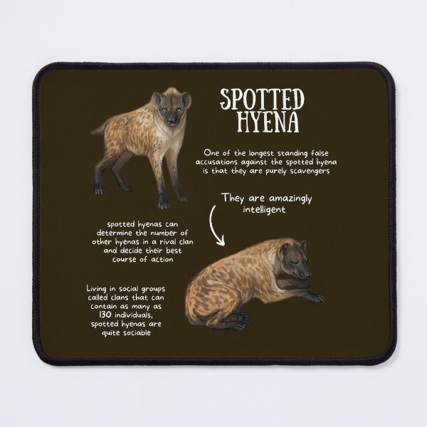 Item preview, Hyena Fun Facts designed and sold by KyleNesas.