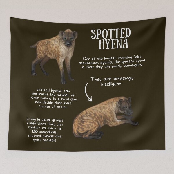 Item preview, Hyena Fun Facts designed and sold by KyleNesas.