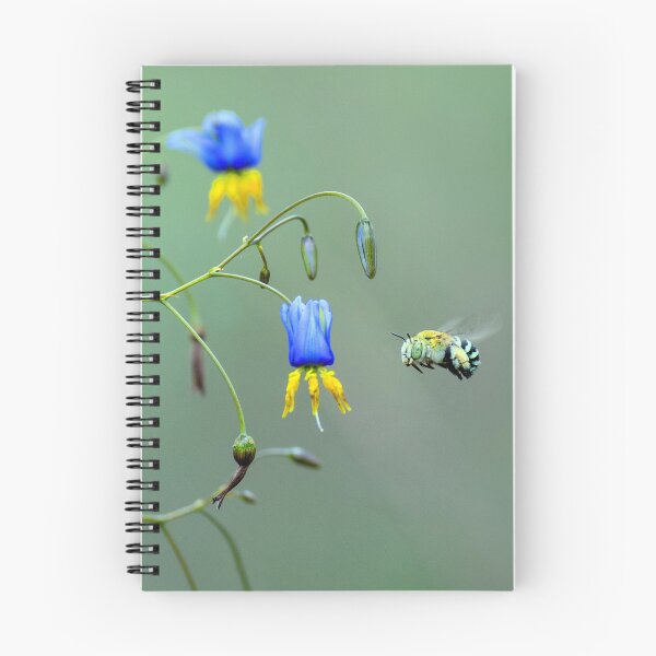 Item preview, Blue Banded Bee and Dianella Revoluta designed and sold by cschester4.