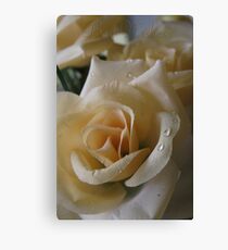 Best Wishes Canvas Print