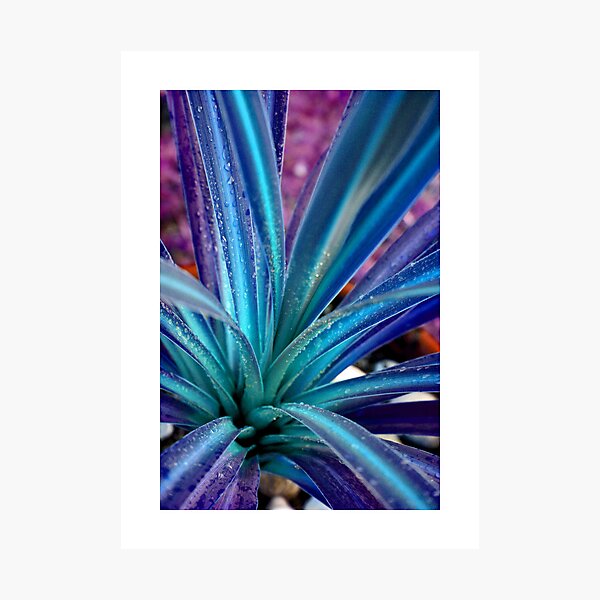 Item preview, blue and purple designed and sold by inspiredmemories.