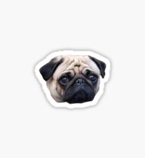 Pug Sticker