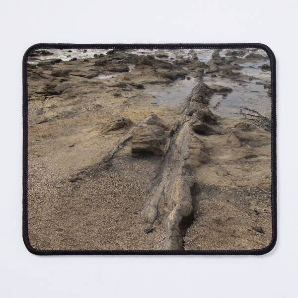 Item preview, Fossil Forest Tree Trunk designed and sold by coffeebean.